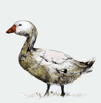Filthy Goose by Nancy Moniz Charalambous